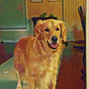 Meet your Posher, Happy joy